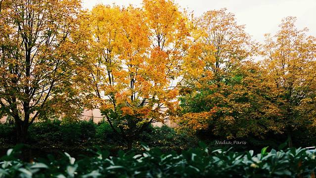 梵维斯跳蚤市场