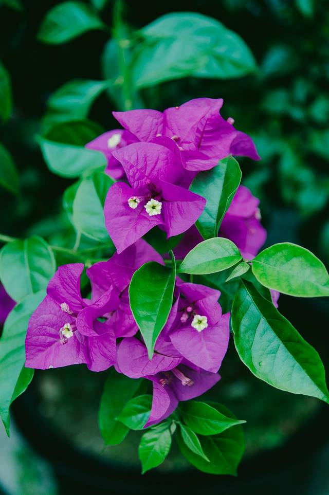 平沙落雁文化商业区