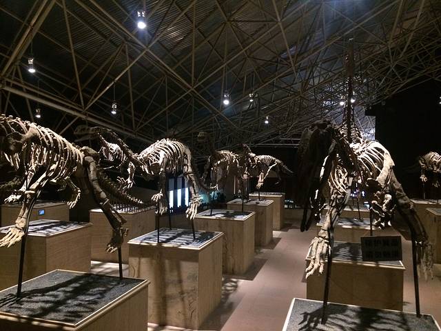 中国禄丰侏罗纪恐龙遗址公园