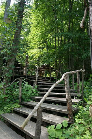 2021step Three 森之时计咖啡馆 旁边是很多工艺品小屋 有个雪花主题的银饰店 买个项链小主很喜欢 珈琲森の時計 评论 去哪儿攻略