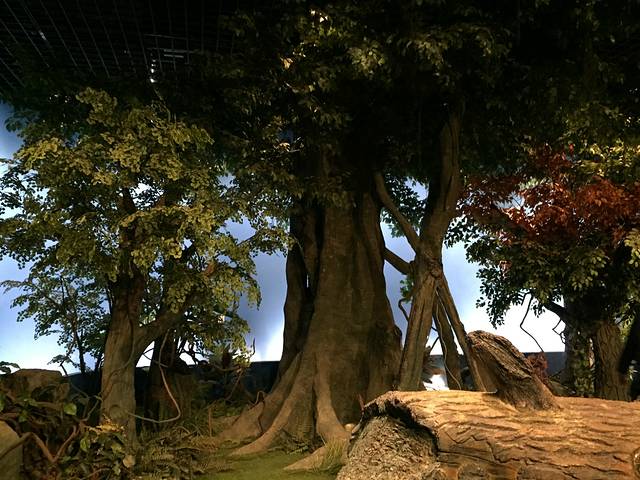 无锡影都华莱坞