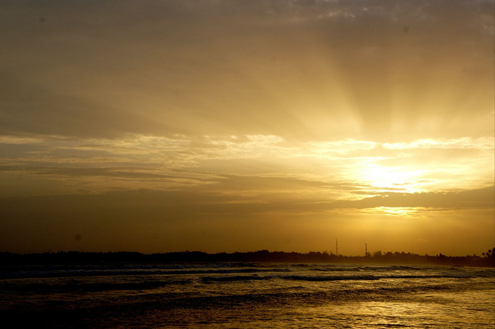 2017还有一只小小的萤火虫恰时地爬上大姐姐