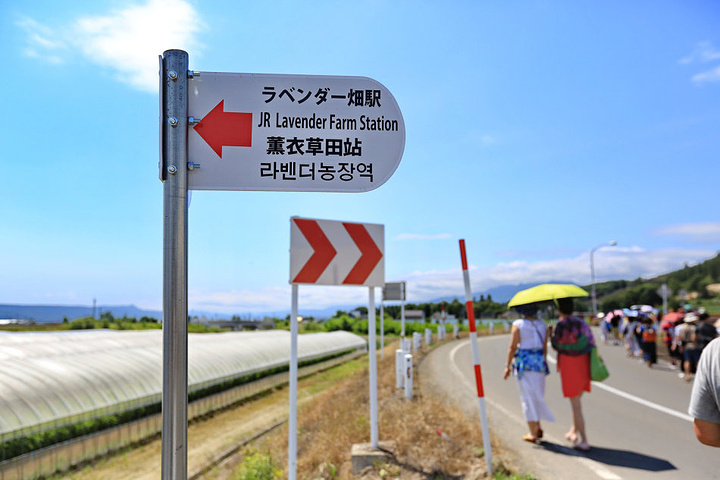 gdp增速_2018年北海gdp(2)