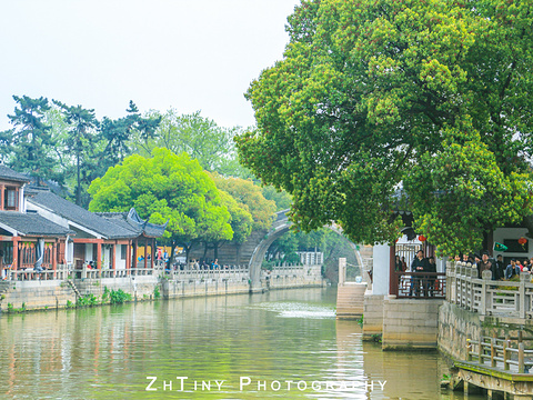 枫桥古镇旅游景点图片