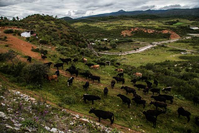 霞给藏族文化村