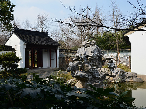 一枝园旅游景点图片