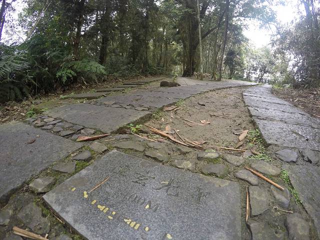 青龙山步道