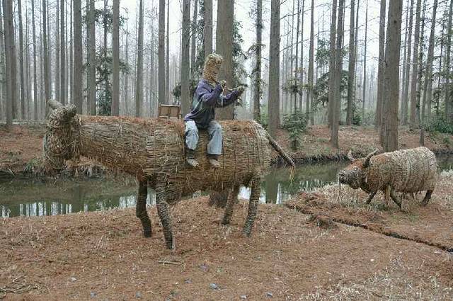 扬州宝应湖国家湿地公园