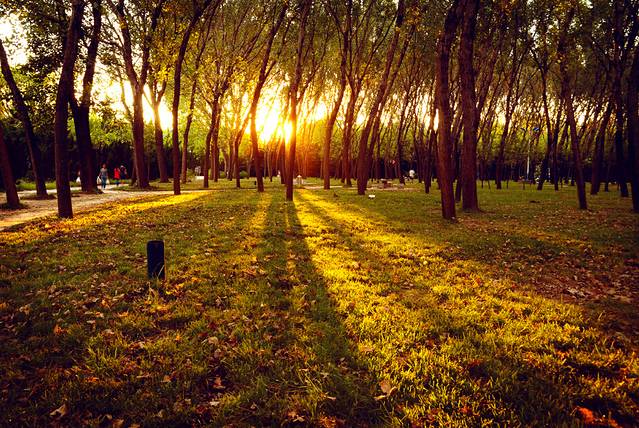 镜头下不一样的烟台