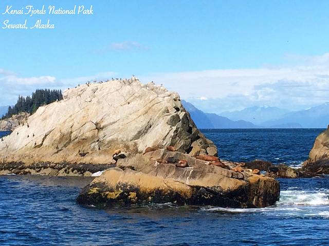 基奈峡湾国家公园