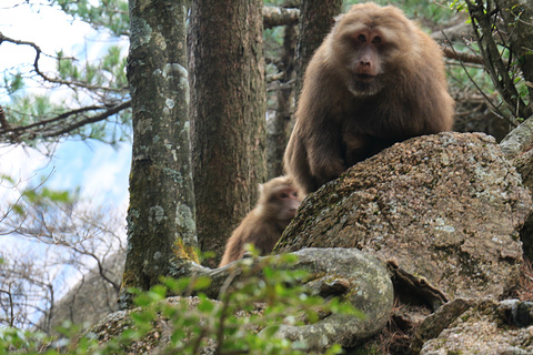 半山寺旅游景点攻略图