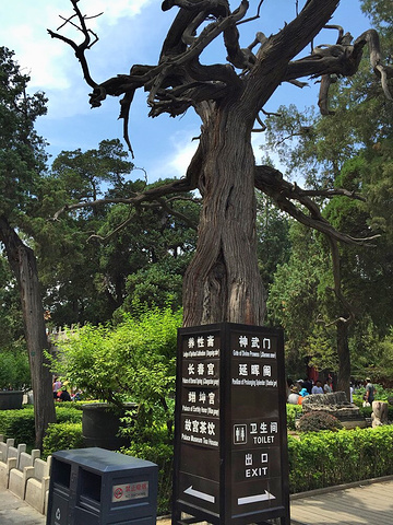 2018御花园位于紫禁城中轴线上,坤宁宫后方,是