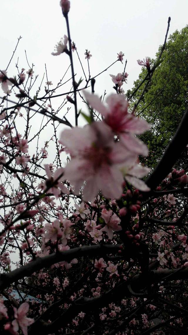 长沙园林生态园