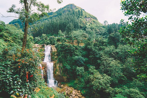 茶园火车旅游景点攻略图