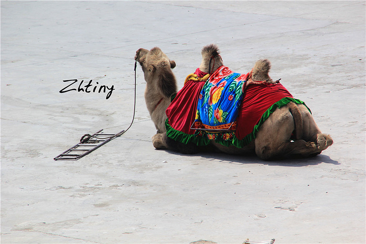 2017从西宁市区去青海湖的路上会经过日月山