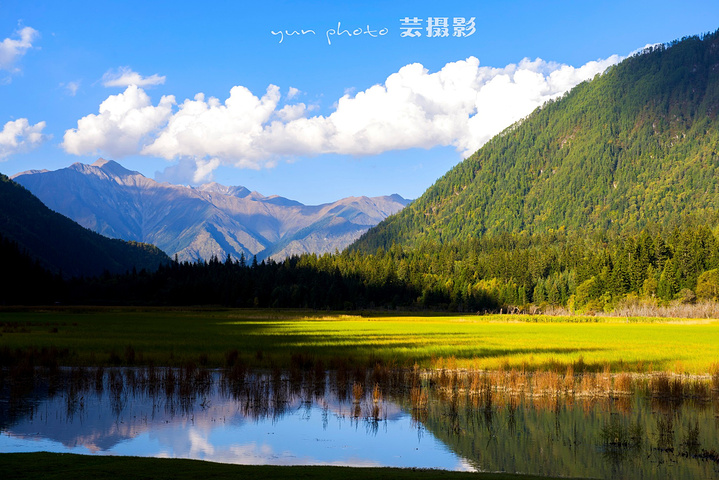2023_九寨沟爱情海景区-评论-去哪儿攻略