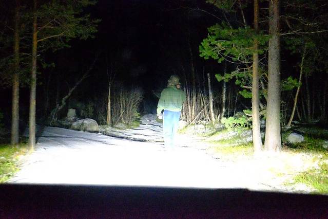 在格陵兰岛看绝美极光