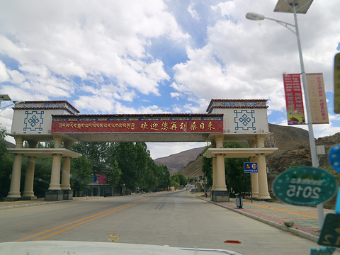 西藏林芝地区_林芝地区2017收入(2)