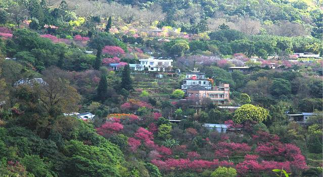 阳明山国家公园