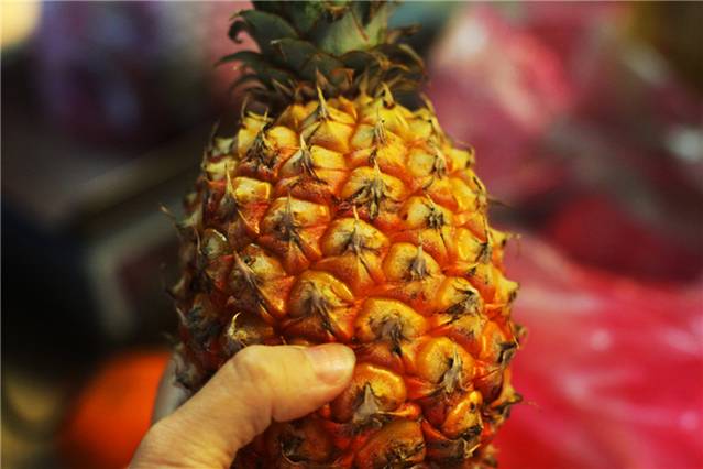 你是我远道而来的意义,台湾