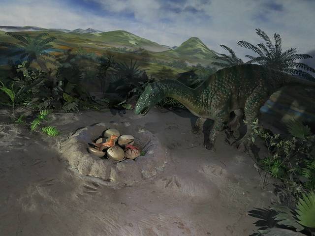 青龙山恐龙蛋化石群国家地质公园