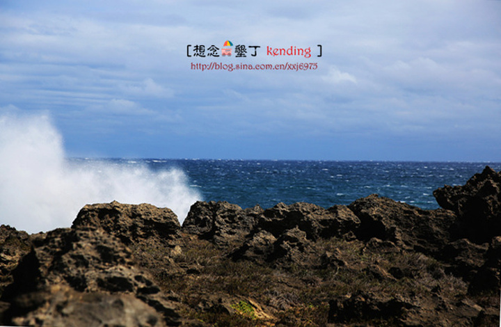 2017.感受生态平衡的景象,为了知道爱护环境的