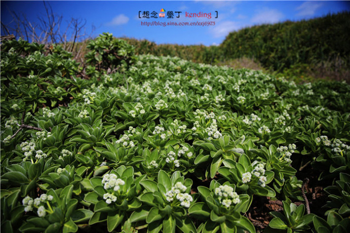 2017.感受生态平衡的景象,为了知道爱护环境的