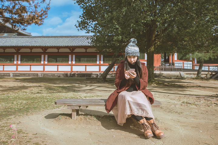 "从东大寺出来，见到如此有爱的一幕，居然来得及拿起相机拍拍拍，感觉大满足！你看看。你看看。你看看_东大寺"的评论图片