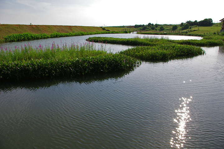 鄱阳湖国家湿地公园是集湖泊,河流,草洲,泥滩,岛屿,泛滥地,池塘等湿地