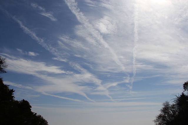 万仙楼（望仙楼）