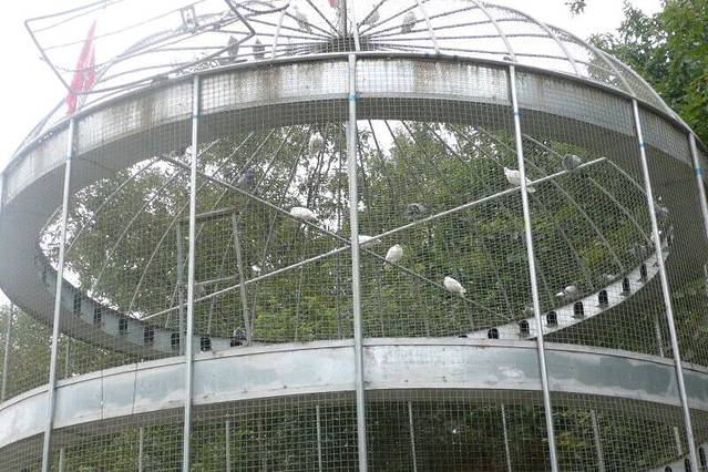 小黑山森林公园