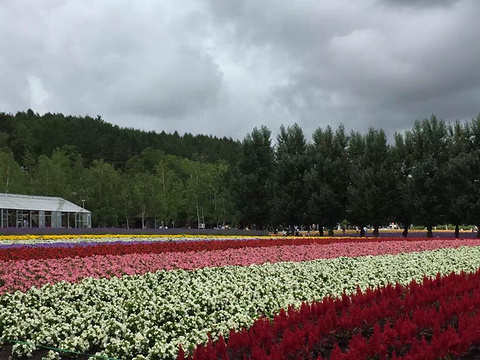 富田农场旅游景点攻略图