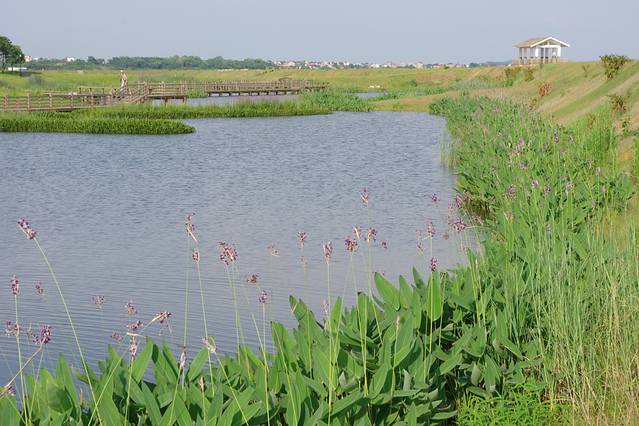 鄱阳湖国家湿地公园