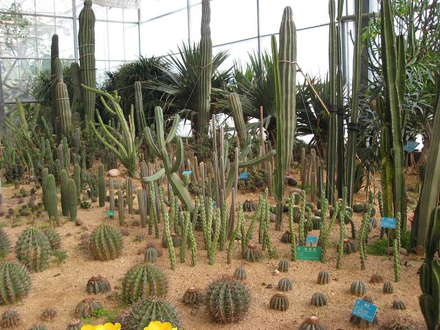 天津热带植物观光园