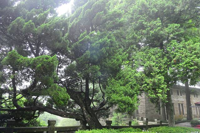 庐山抗战博物馆