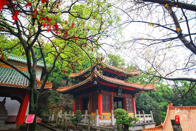 圭峰山国家森林公园