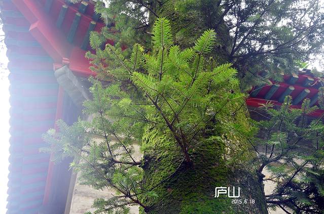 庐山抗战博物馆