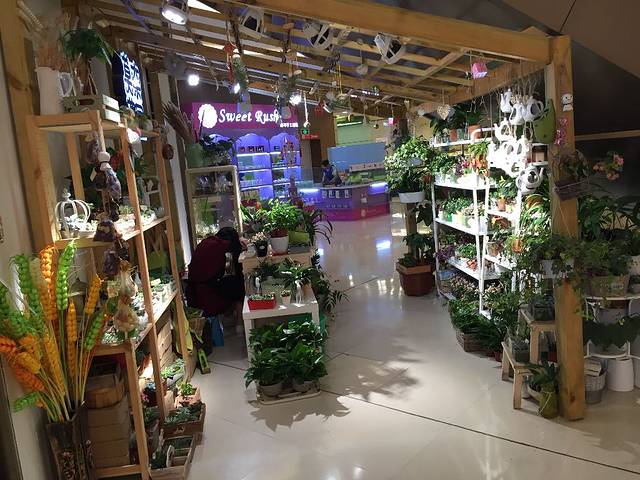 莱茵春天购物中心