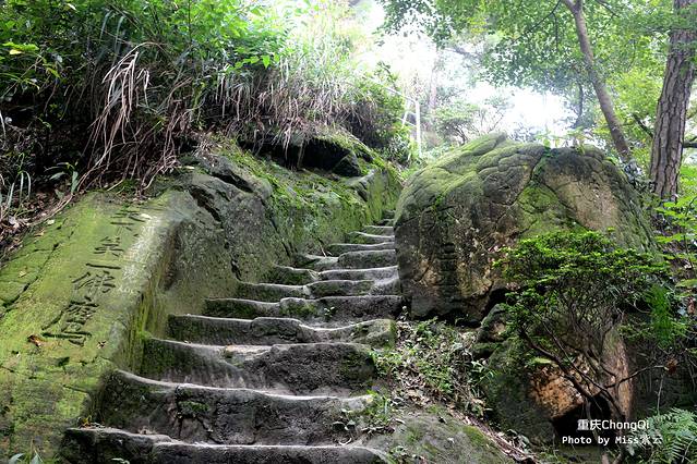 南山一棵树观景台
