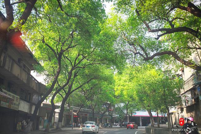 银湖湾湿地公园