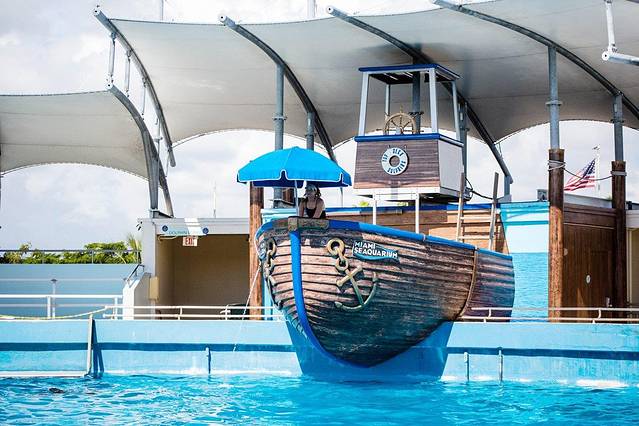 迈阿密水族馆