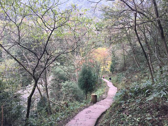 又一村(青城后山店)