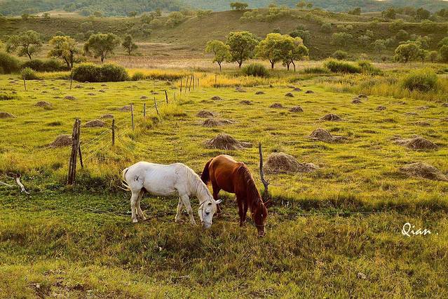 乌兰布统旅游区