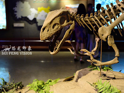 自贡恐龙博物馆旅游景点图片