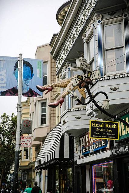 带上你的背包,我们畅游西海岸