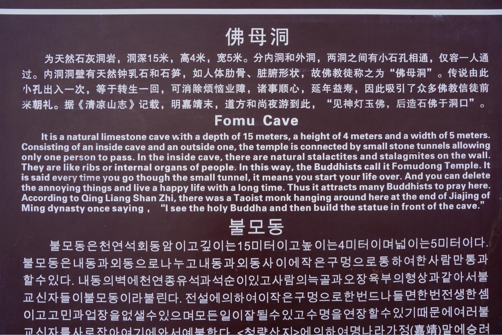 一路上的风景真的很美索道上去后再爬佛母洞路上许愿树途中花摆假花儿