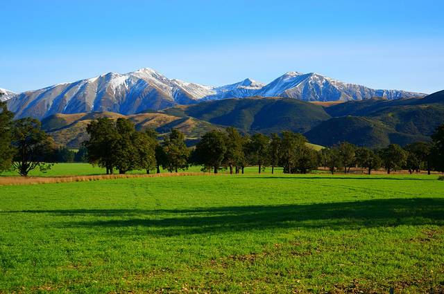 阿尔卑斯山号火车