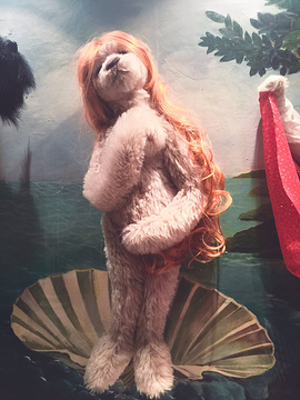 泰迪熊野生动物国旅游景点攻略图