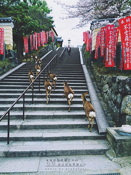 春日大社旅游景点攻略图