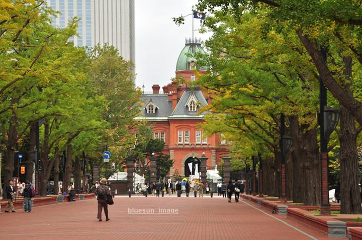 21远处的建筑是著名的北海道市政府 北海道厅旧本厅舍 评论 去哪儿攻略